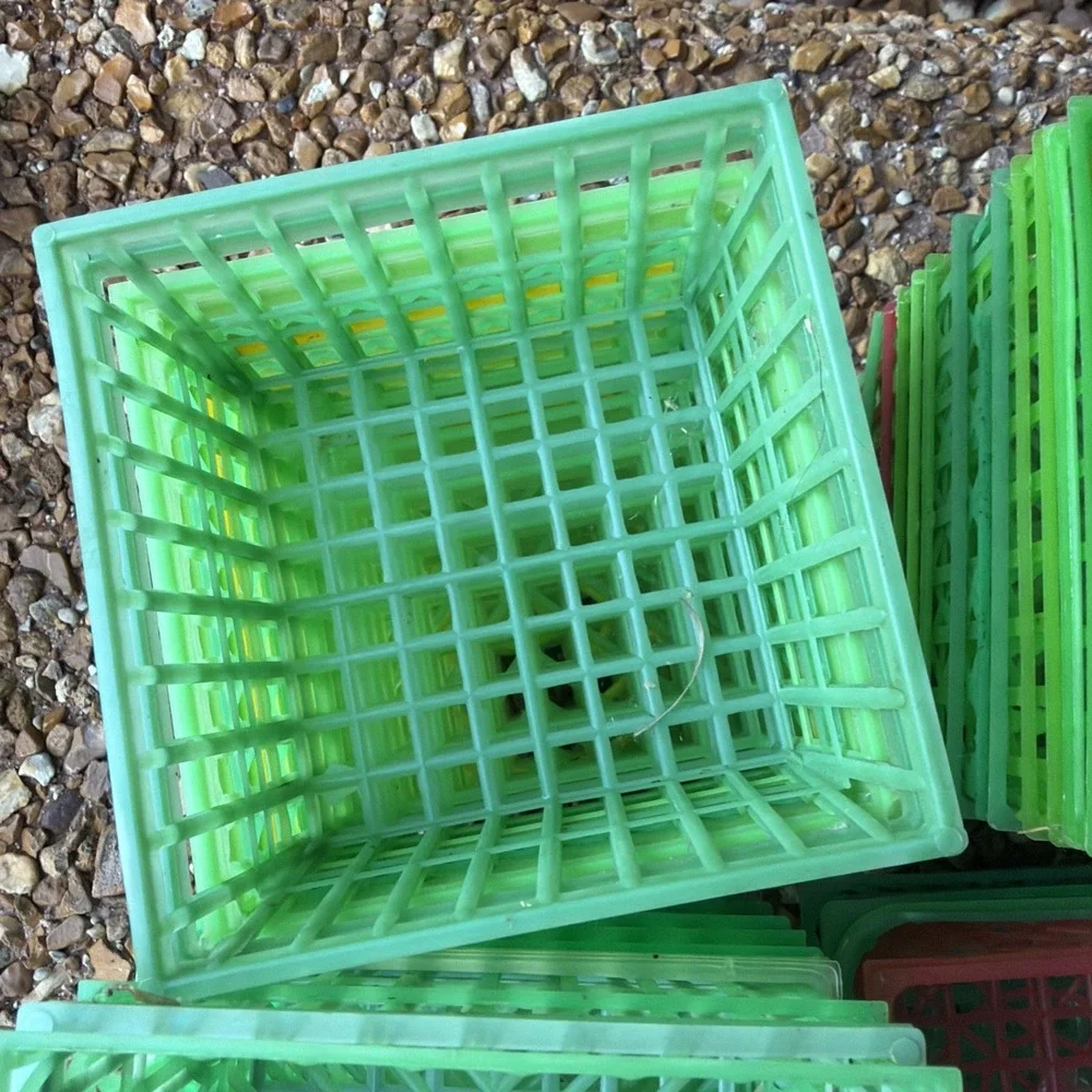 Vintage Pint Size Plastic Berry Baskets 4-Inch Berry Boxes.  43 Piece lot
